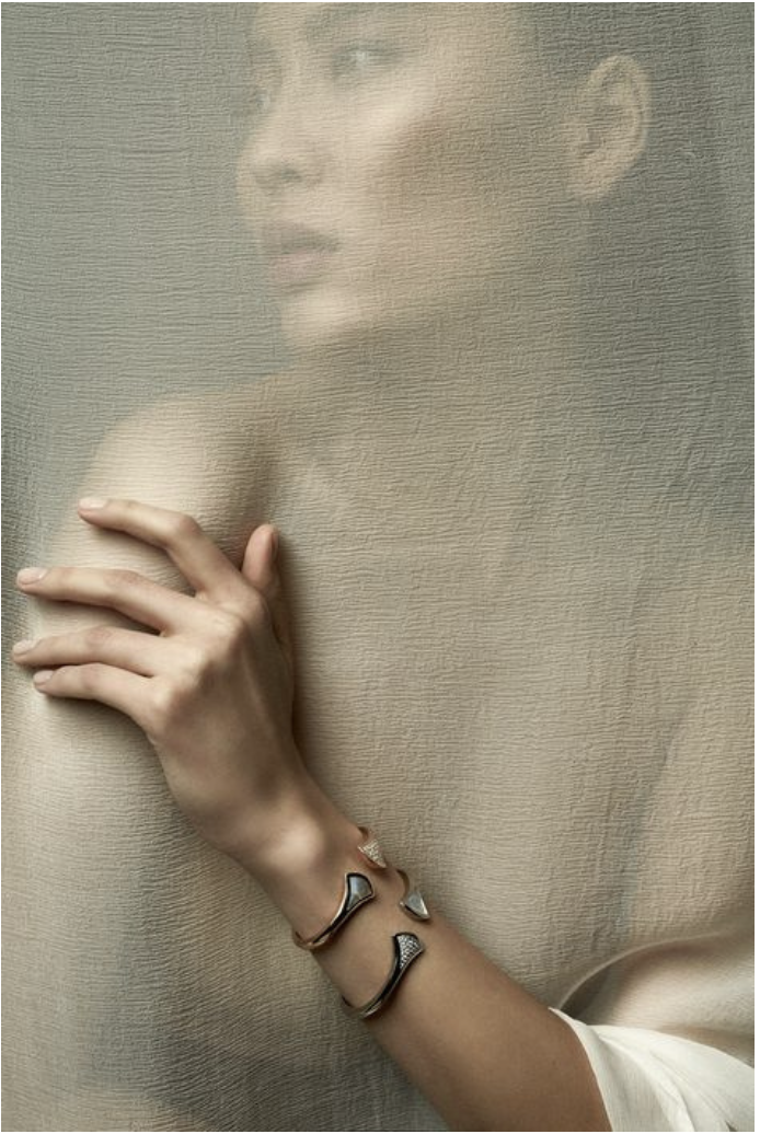 AXADIATA Jewelry Elegance